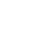 OCULUZ: Integrity & Risk Assessments Provider